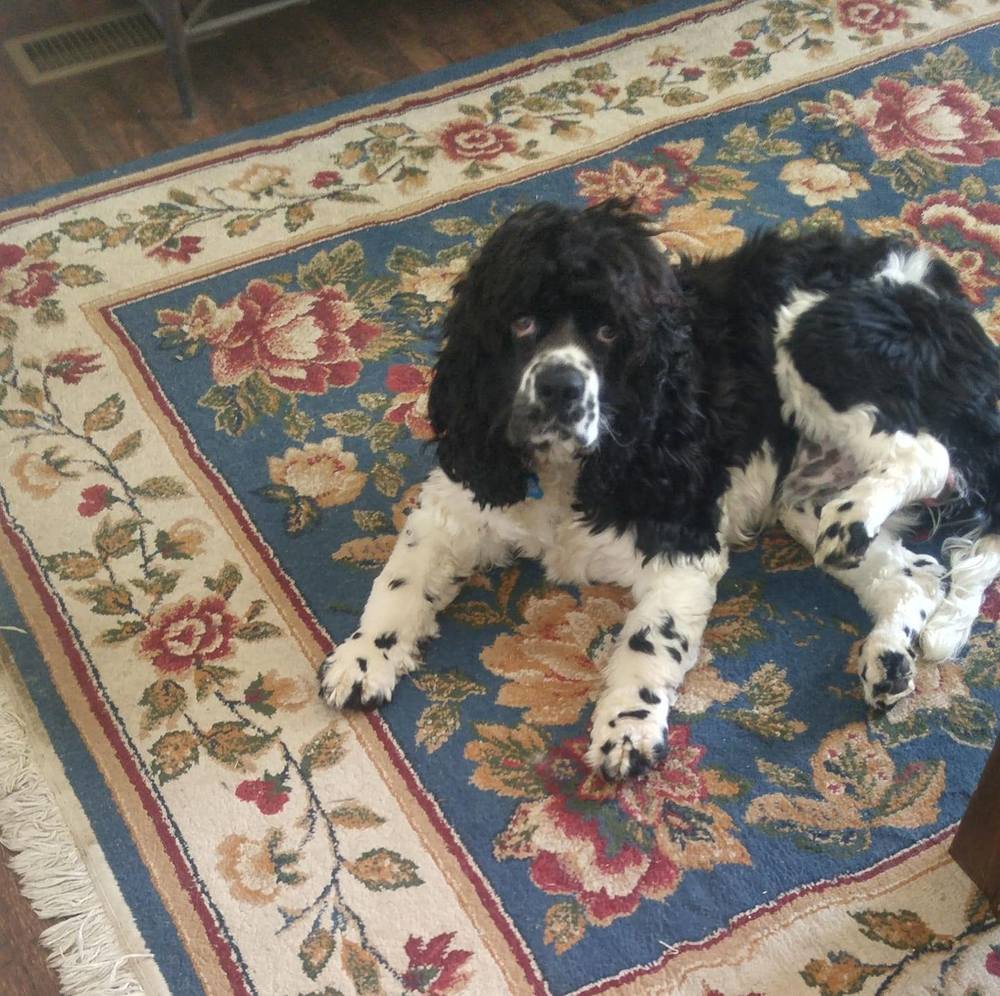 Meet your Posher, Jeanie